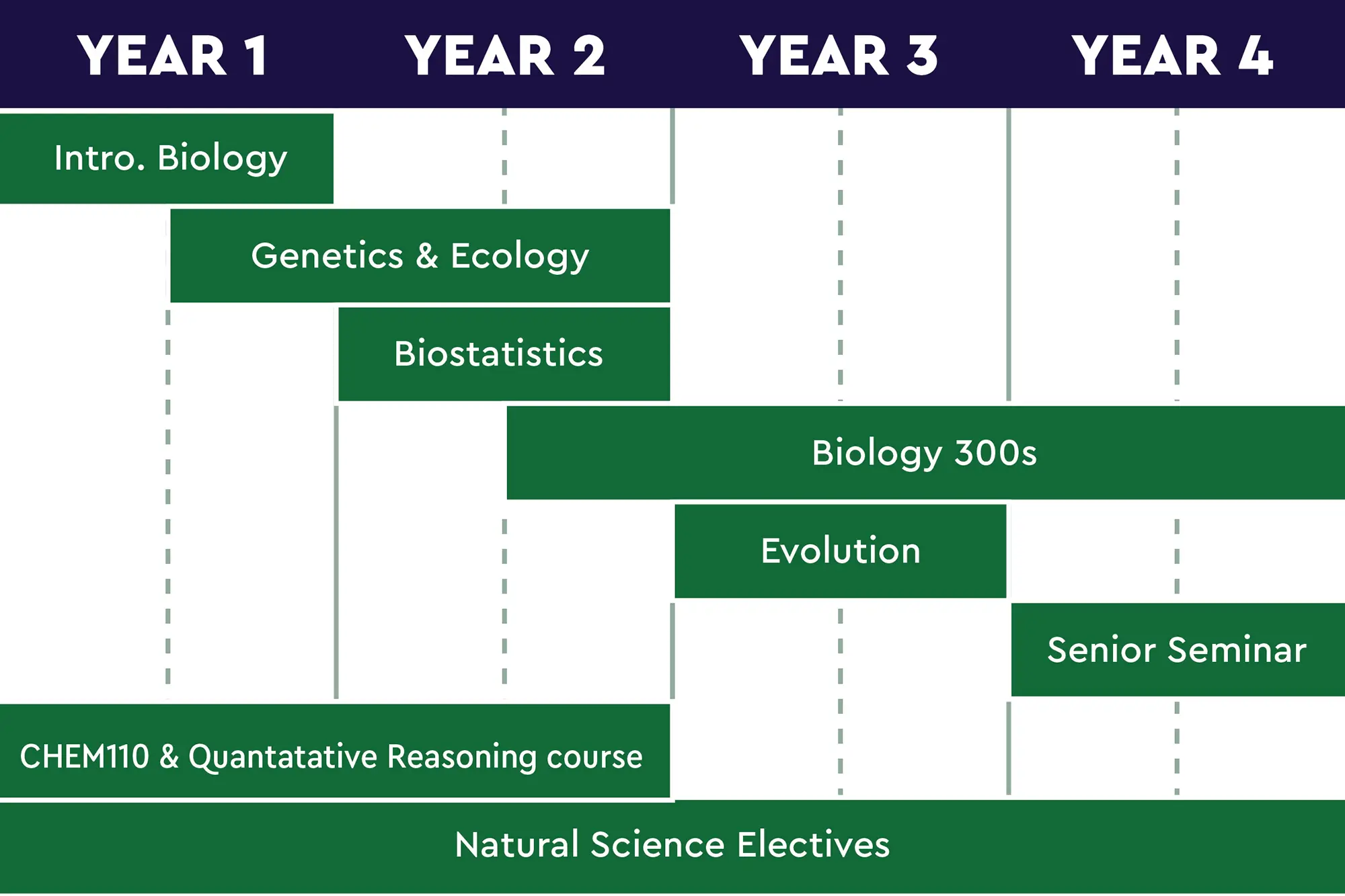 bio timeline