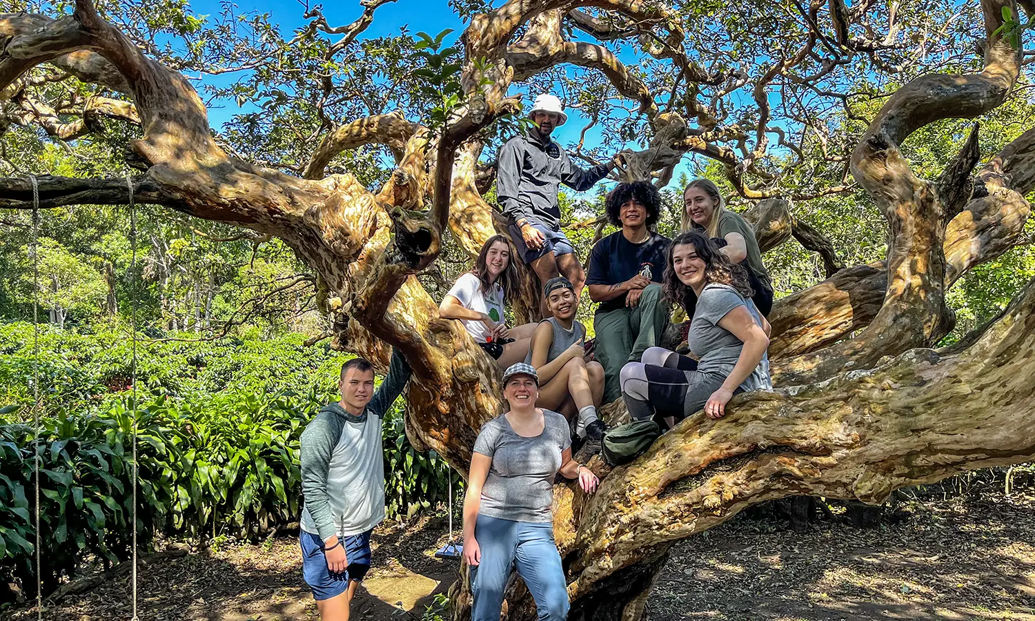 In Fortuna, Costa Rica, students led by Associate Professor of Psychological Science Emily Fisher explore Arenal Volcano National Park.