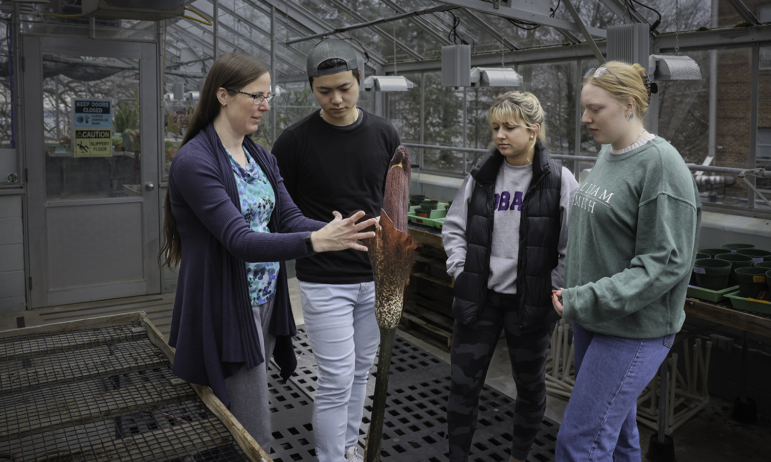 Students observe plant