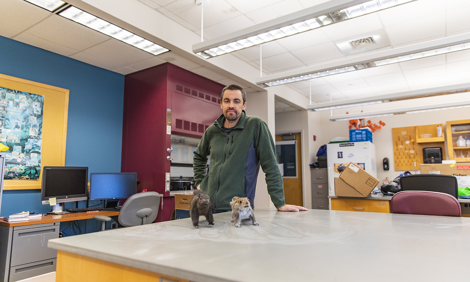 Hobart and William Smith Colleges