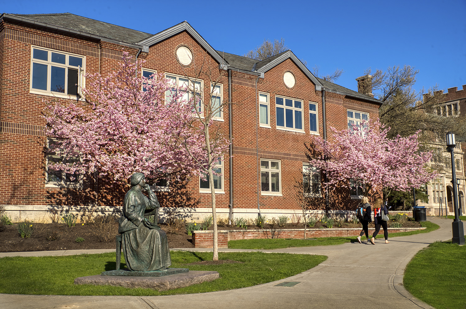 Trees bloom on campus